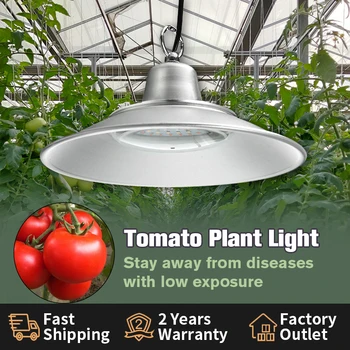 Светодиодная подсветка для выращивания томатов мощностью 50 Вт, усиливающая красный и синий свет для продвижения цветов green house