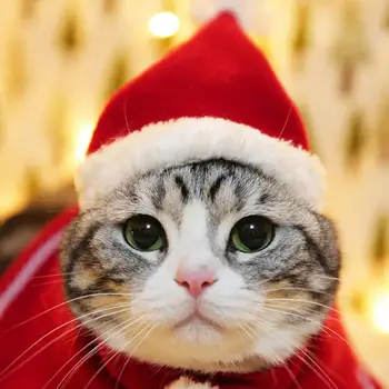 1 Комплект современной праздничной рождественской одежды для домашних животных Рождественский Костюм для домашних животных Супер Мягкая Одежда для домашних животных