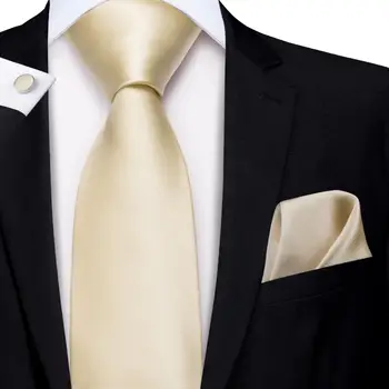 Цвет слоновой кости цвета шампанского, Новинка 2023 года, Элегантные мужские галстуки, Шелковый галстук-запонка Для мужчин, Свадебная вечеринка, деловой Модный бренд Hi-Tie